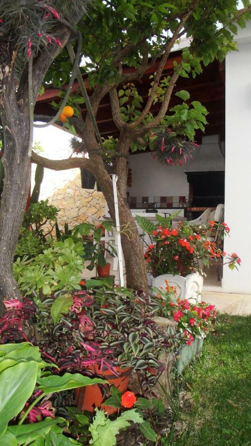 Lemon Tree Relaxing Guesthouse Lagos Exterior photo